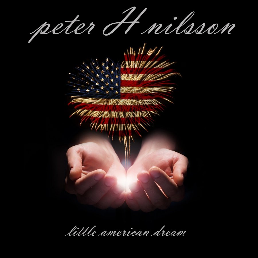 917126914_PeterHNilssoncover.thumb.JPG.45abb73557690aa7bf200b741270a2b5.JPG