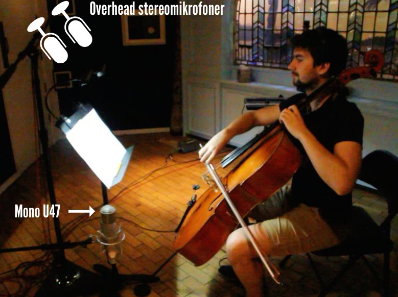 1826690233_Cello_MicPlacements.jpg.66d3f5803d1971f0cb3c96e5ccfe535a.jpg